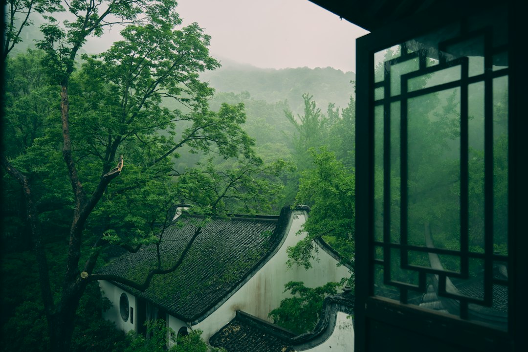 Les Cinq Éléments en Feng Shui : Bois, Feu, Terre, Métal et Eau