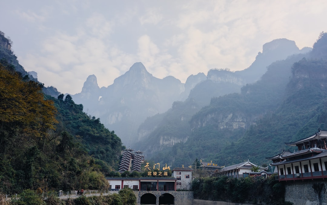 L’histoire du Feng Shui : de la Chine ancienne au monde moderne