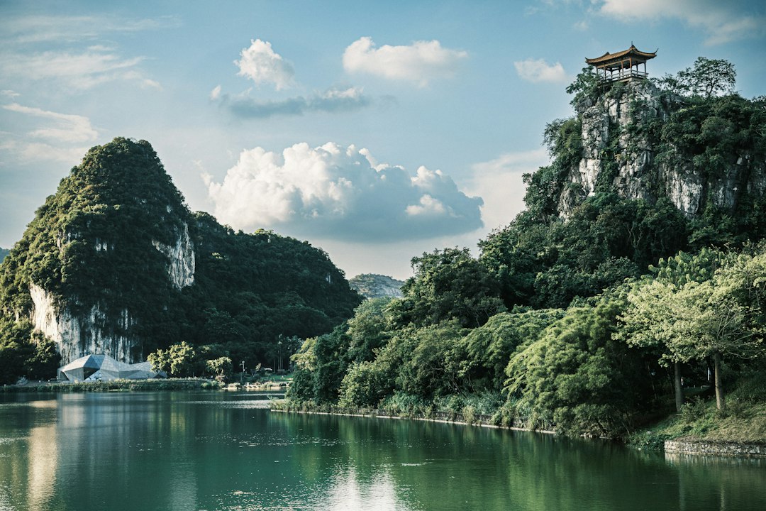 Le Qi en Feng Shui : signification, circulation et contexte