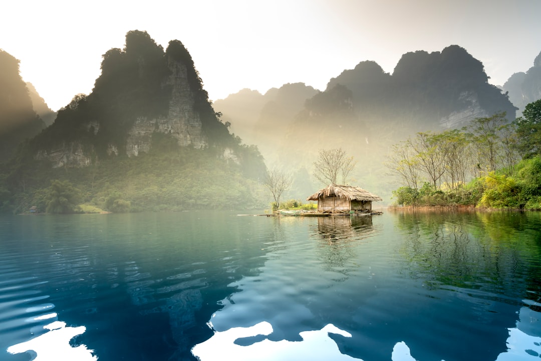 Le Yin et le Yang en Feng Shui : équilibre, polarité et changement